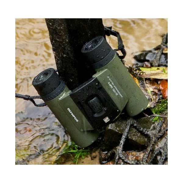 Olympus 8x25 WP II Fernglass (Wasserdicht, Beschlagsfrei, Staubschutz, 10-fache Vergrößerung), geeignet für Outdoor-Einsätze, grün – Bild 8