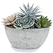 MyGift 7-Inch Assorted Artificial Succulent Plants in Rustic Textured Pulp Pot