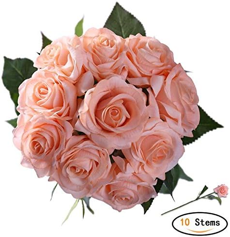 StarLifey Artificial Flower Rose 10 Stems Open Silk Roses Velvet Flowers Advanced Customization Wedding Set Garden Floral DIY Home Garden Decoration (Champagne)