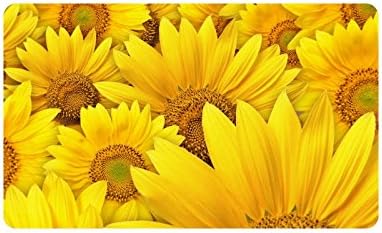 Sunflowers Flower Custom Doormat Entrance Mat Floor Mat Rug Indoor/Outdoor/Front Door/Bathroom Mats Rubber Non Slip Size 30 x 18 inches