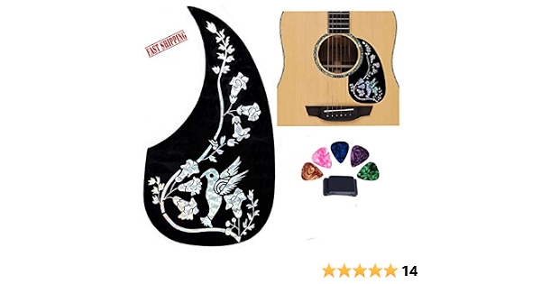 Amazon.com: Placa protectora de púas para guitarra acústica negra, estilo  Martin, forma de lágrima, diseño de flores de pájaro + púas de guitarra (de  Magik Fulfillment) : Instrumentos Musicales
