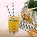 Webake Biodegradable Bulk 144 Halloween Black and White Striped Drinking Straws, Eco Friendly Alternative to Plastic Straws for Party, Cake Pop Sticks