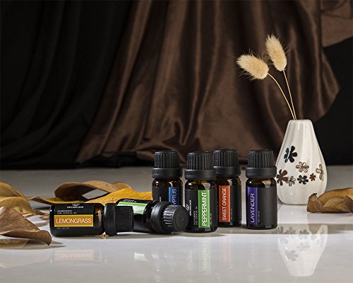 4 Aromatherapy+Essential+Eucalyptus+Peppermint+Meditation+Works