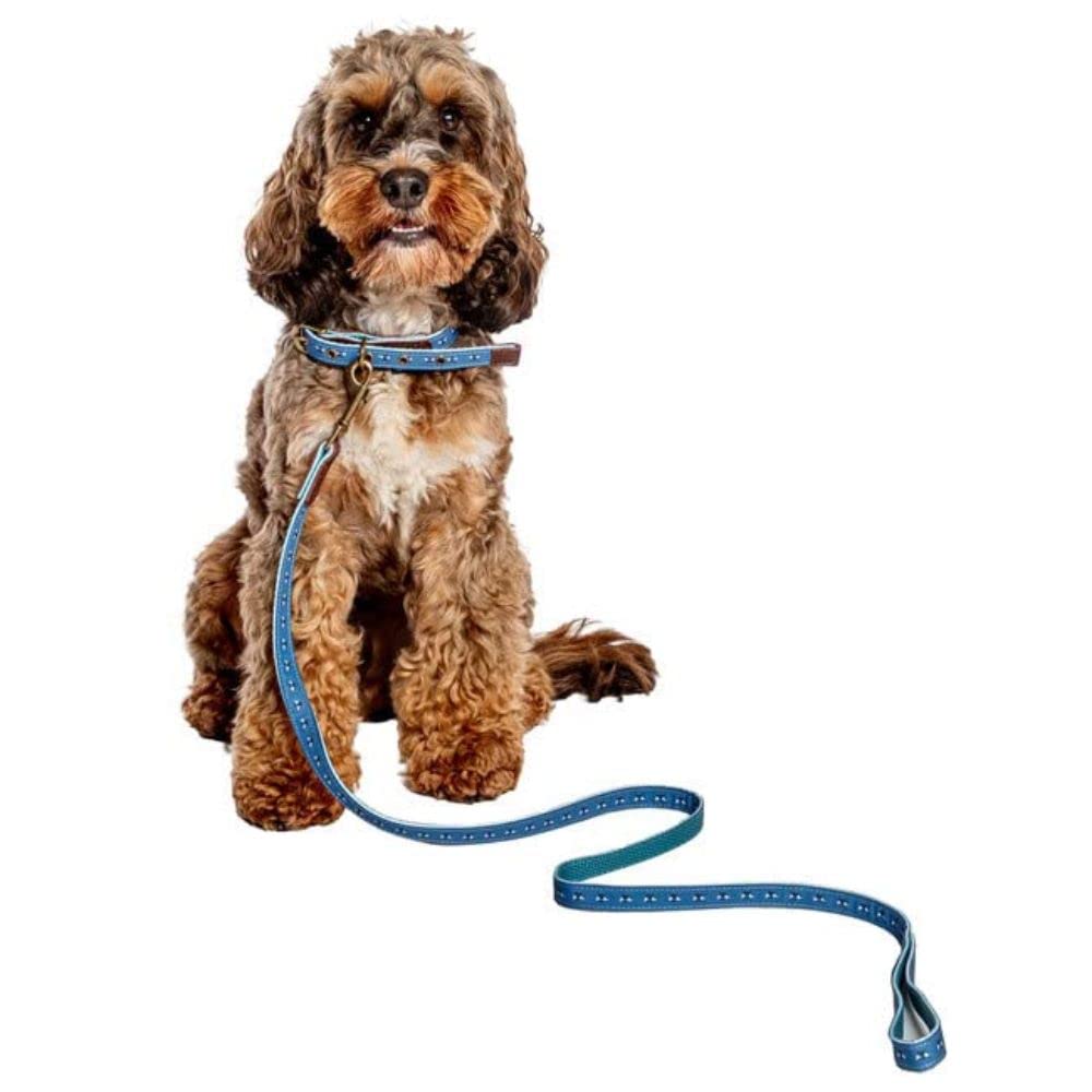 Danish Design FatFace Spotty Bees Woven Genuine Leather Trim Metal Buckle Blue Dog/Puppy Collar Large 25mm 45-55 cm