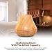 TaoTronics Essential Oil Diffuser, 400ml Wood Grain Aroma Diffuser for Aromatherapy (Noiseless 14 Hours Continuous Mist, PP Build, Diffusers for Essential Oils, Waterless Auto Shut-Off Protection)