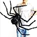 JCare 49 Inch 125CM Large Size Black Realistic Fake Plush Spider Puppet Prank Jokes Toy Made Of Wire And Plush Halloween Props Spider Funny Toy For Party Or Bar KTV Halloween Decoration