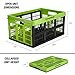 CleverMade CleverCrates 45 Liter Collapsible Storage Bin/Container: Grated Wall Utility Basket/Tote, Kiwi Green