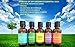 Top 5 Essential Oil Set By Sky Organics- Pure, Therapeutic Grade and Organic 1oz (30ml) each of Lavender, Peppermint, Orange, Lemon and Eucalyptus for Aromatherapy and Diffusers- Made in USA