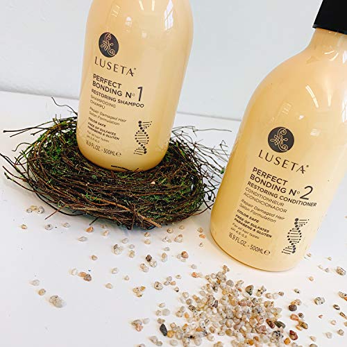 Luseta Perfect Bonding Shampoo and Conditioner Pricepulse
