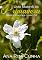 Livro Uma manhã de Primavera (Série Estações Livro 2)