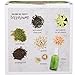 D'Eco Glass Mini Diamond Plant Terrarium (5x5x3.5) - Indoor Tabletop Copper Geometric Planter - Succulents, Air Plants, Moss - Home, Garden, Wedding & Office Decor- Gift Idea for Plant Lovers