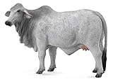 Collecta Brahman Cow