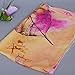 Datework Women's Long Soft Wrap Shawl Silk Chiffon Scarf (Beige)