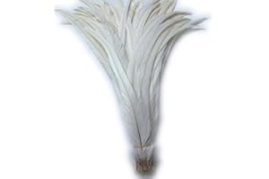 Shekyeon 16-18inch 40-45cm Rooster Coque Tail Feather for Costume Decoration Pack of 20 (Beige/Ivory)