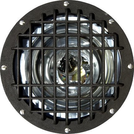 1 Light In-Ground Well Light with Grill Volts: Multi-Tap, Bulb Type: 150W MH/MED