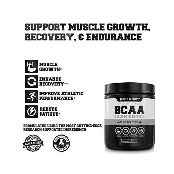 BCAA Powder (Fermented) 6g Branched Chain Essential Amino Acid