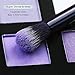 10 pcs Professional Eye Makeup Brushes Kit with a Portable Cosmetic Bag - HEDILINA Makeup Brushes Set, Blending Eyeshadow Eyebrow Concealer Smudge Lip Brushes (Sapphire Blue)