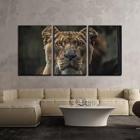 3 Piece Canvas Wall Art - Wild Animal Lion - Modern Home Art Stretched and Framed Ready to Hang - 16"x24"x3 Panels