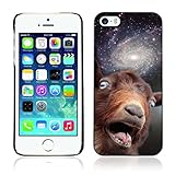 A-type Colorful Printed Hard Protective Back Case Cover Shell Skin for Apple iPhone 5 / 5S ( Funny Space Goat Meme )