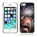 A-type Colorful Printed Hard Protective Back Case Cover Shell Skin for Apple iPhone 5 / 5S ( Funny Space Goat Meme )