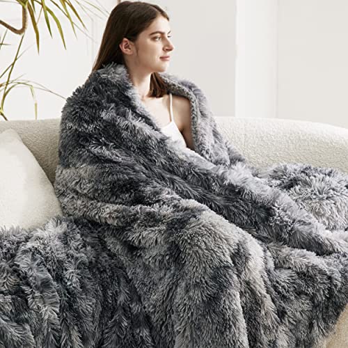 Bedsure Fuzzy Soft Blankets Queen Size for Bed Fluffy and Shaggy Faux