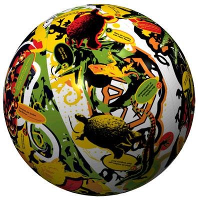 Clever Catch Ball: Reptiles