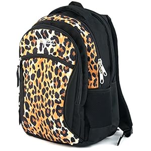 51bc8W%2BmeOL. SS300