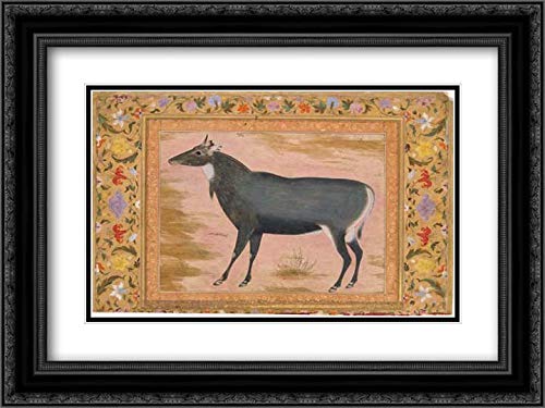 Mansur - Mir 'Ali Haravi 2X Matted 24x18 Black Ornate Framed Museum Art Print - Study of a Nilgai (Blue Bull), Folio from The Shah Jahan Album