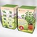 EasyStart Kitchen Garden Herbs - Organic Herb Kit - Everything you need to start 6 organic kitchen herbs