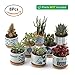 T4U 3 Inch Ceramic Succulent Planter Pots with Bamboo Tray Set of 8, Japanese Style Porcelain Handicraft as Gift for Mom Sister Aunt Best for Home Office Restaurant Table Desk Window Sill Decoration