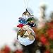 H&D Crystal Ball Pendant Chandelier Prism Hanging Suncatcher (Multi-Color)