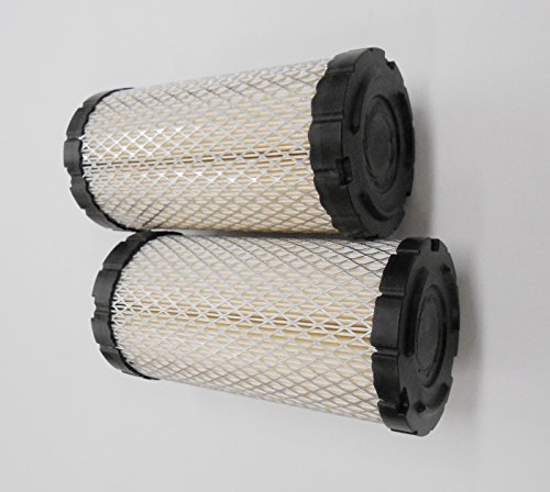 2 Pack, 2 Replacement Air Filters for Kohler 2506302S, 25083-02S, Briggs & Stratton 820263, John Deere M113621, MIU10783