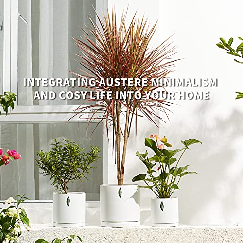 Plant Pot Set of 2 Ceramic Planter for Indoor Plant, 7" & 8" Matte