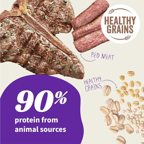 HALO ELEVATE SMALL BREED DOG FOOD, RED MEAT RECIPE, HEALTHY GRAINS DRY DOG FOOD, KIBBLE FOR ADULT DOGS, 3.5 LB BAG