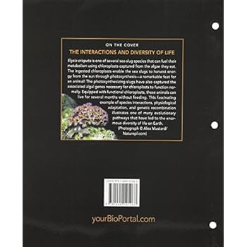 Life: The Science of Biology, 10th Edition eBook PDF Download Life: The Science of Biology, 10th Edition PDF