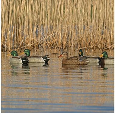 GHG Pro-Grade Active Pack Mallard Duck Decoy Pack of 6