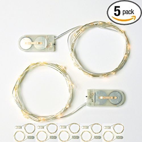 RTGS Products Warm White Colored LED Lights Indoor and Outdoor String Lights, Fairy Lights Battery Powered for Patio, Bedroom, Holiday Decor, etc (Warm White Color 20 LEDs 6.5 FEET 10 Sets)