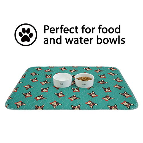 rocket & rex Washable, Puppy Pee Pads. Waterproof, Pet Training Reusable Pads. Leak-Proof and Absorbent. Whelping, Incontinence, Travel. (30" x 36" - 2 Pack, Hipster Dog) - Thumbnail 4