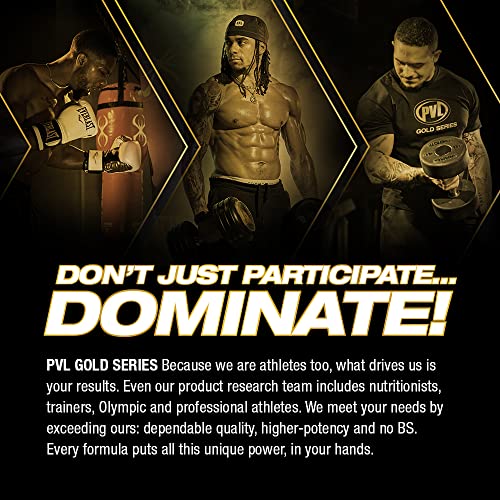 PVL Clean Mass XL | Mass Weight Gainer - Real food ingredients - complete Protein powder (10LBS, Vanilla Ice Crean)