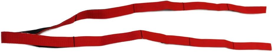 Yoga Stretch Strap Belt Flexibility Stretch Straps with 8 Loops, Ideal for Yoga Dance, Physical Therapy Rehab - Image 5