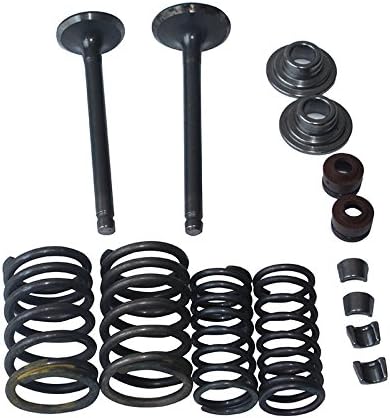 Valve Rebuild Kit Intake and Exhaust Valves Springs Stem Seal Cotter For 110cc ATV Quad Dirt Pit Bike Go Kart Honda