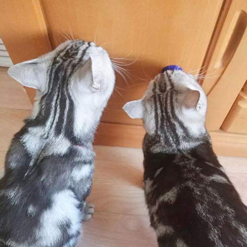AUOKER Cat Treats Catnip Sugar, Catnip Cat Snacks Licking with Isinglass and Trace Elementsfor for Kittens Cats Pet, Interactive Solid Nutrition Gel Energy Ball with Catnip Toys (Catnip, 1pc)