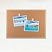 Push Pins Clips, Creative Paper Clips with Pins for Cork Boards Bulletin Boards Cubicles Walls Great Alternative 15 Pcs