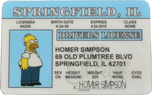 Homer Simpson Driver License ID