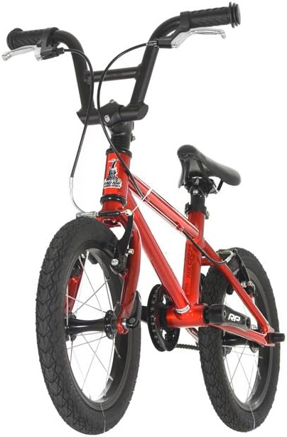 raleigh performance 14