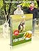 Advanced Hip and Joint Supplement for Dogs- Daily Hip-Jo's by iDash Pets- Best Glucosamine for Dogs, Chondroitin, Turmeric, MSM for Dogs- Hip Dysplasia, Dog Arthritis Pain Relief - 130 Soft Chews