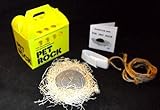 Yellow Pet Rock with Walking Leash