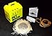 Yellow Pet Rock with Walking Leash