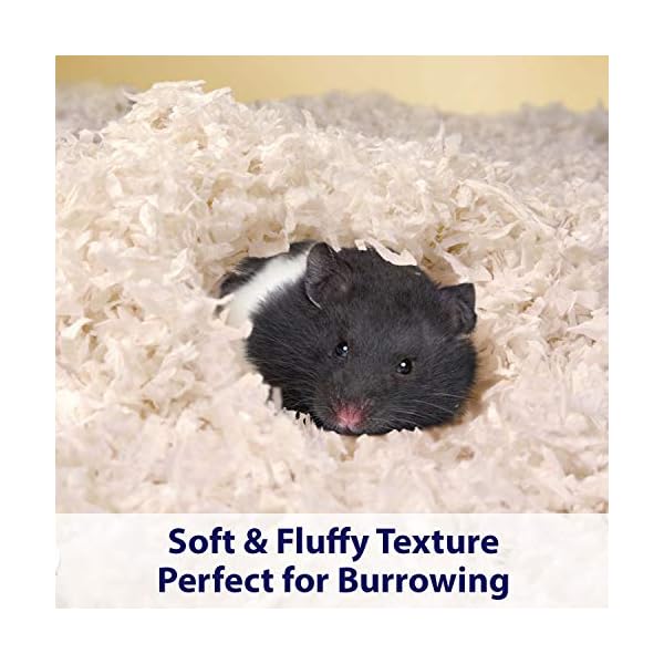 Kaytee Clean & Cozy Super Absorbent Paper Bedding for Cages, Hamster, Gerbil, Mice, Rabbit, Guinea Pig, 49.2 Litre…