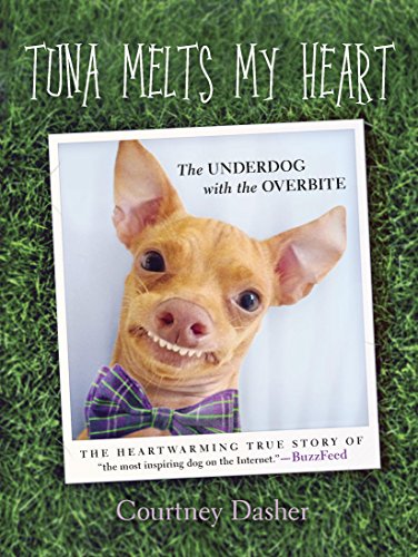 Cat Adoption Costumes - Tuna Melts My Heart: The Underdog with the